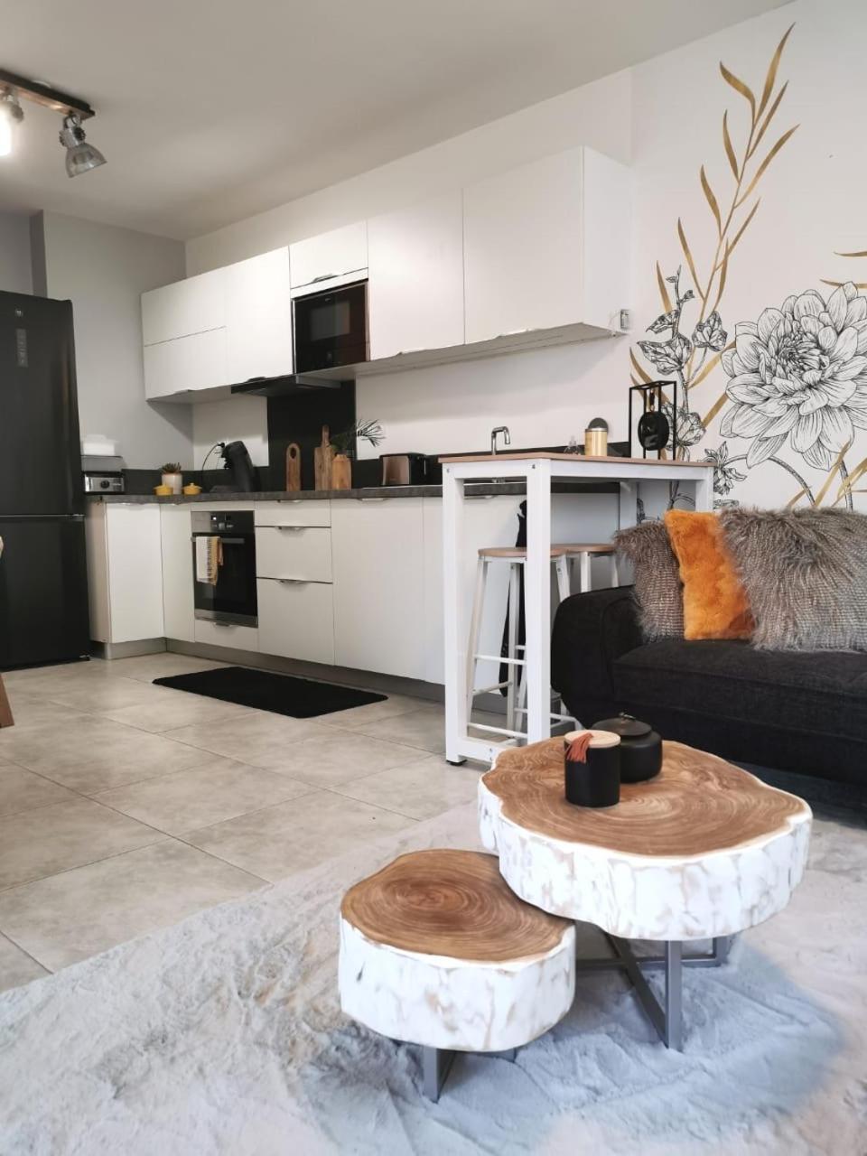 Appartement Chic & Cosy แซ็ง-ปีแยร์ ภายนอก รูปภาพ